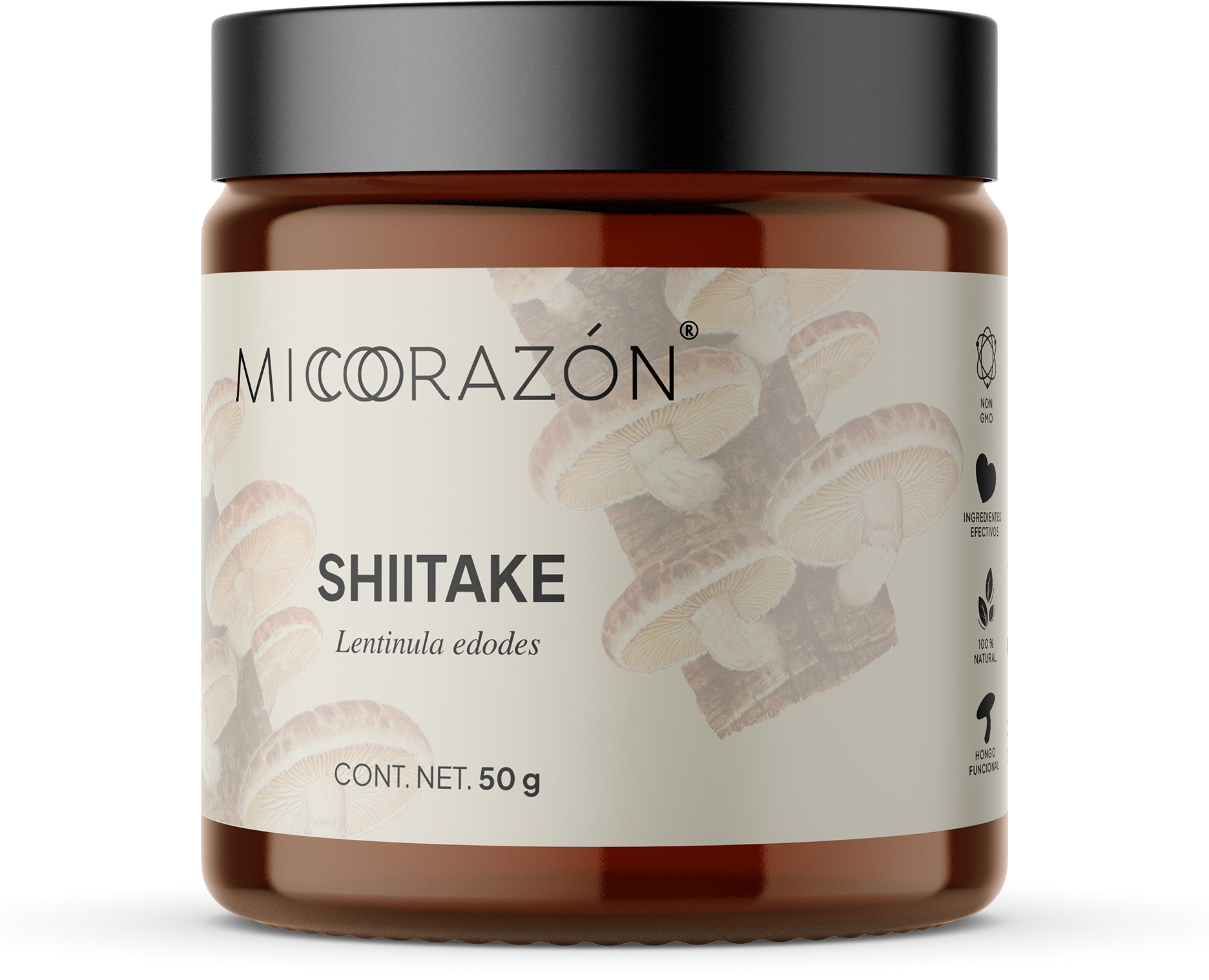 Shiitake | Antioxidante